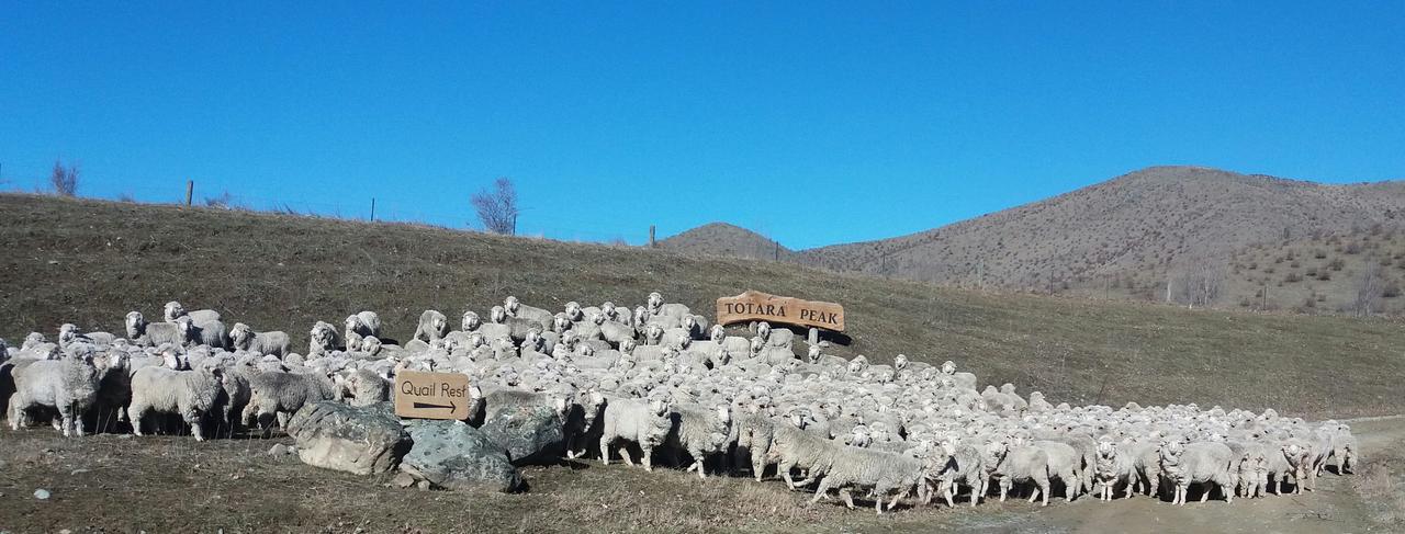 Вілла Quail Rest Твайзел Екстер'єр фото