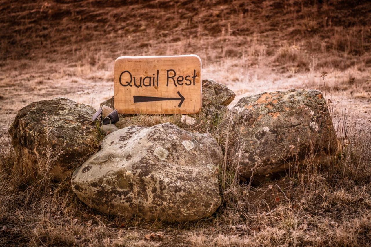 Вілла Quail Rest Твайзел Екстер'єр фото